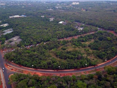 Governo decreta ponto facultativo dia 1° de novembro