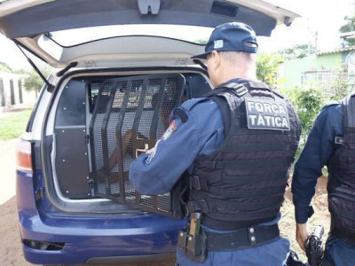 Jovem mete a porrada na mãe, irmã e amigo em Dourados