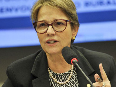 Ministra Tereza Cristina testa negativo para Covid-19