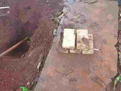 Traficante é flagrado com maconha enterrada no quintal de casa