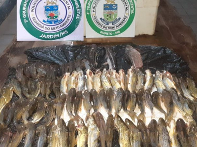 Turistas são flagrados fazendo pesca predatória em Bonito