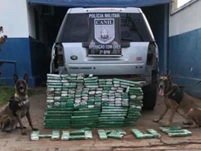 Após perseguição, polícia apreende mais de 150 kg de maconha