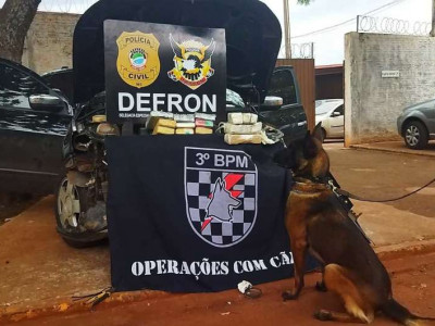 Droga apreendida no Jardim Água Boa é avaliada em R$ 550 mil