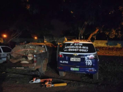 Homem invade propriedade rural, furta itens e é preso na BR-141 
