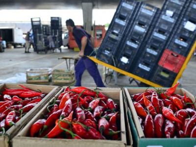 Mapa: 89% dos vegetais comercializados são seguros para consumo