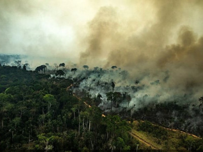 Senado aprova adequação de política nacional sobre o clima