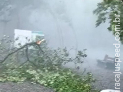Vendaval arranca galhos e causa danos na Gruta do Lago Azul