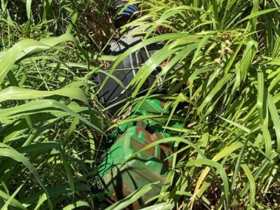 Homem é preso após furto de 250 litros de óleo Diesel