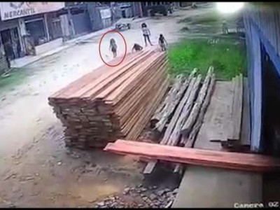 Pilha de madeira desaba e mata menina de três anos no Pará