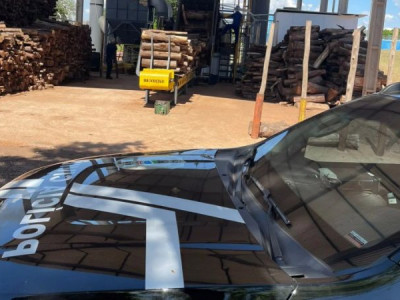 Polícia incinera 2 toneladas de entorpecentes em Iguatemi