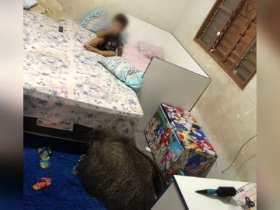 Tamanduá entra no quarto de crianças e deita no tapete em Campo Grande
