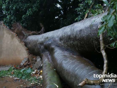Temporal derruba árvores, teto de posto e causa estragos em Campo Grande