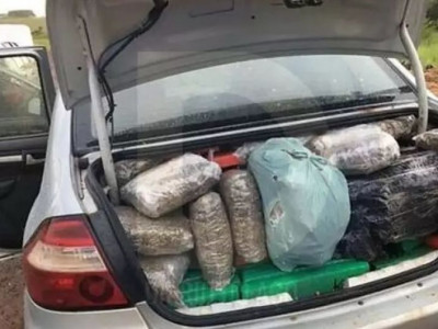 Polícia apreende carro com 366 quilos de maconha e 143 de skunk