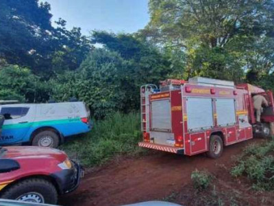 Rastros de onça são achados em trilha onde idosa sumiu em MS