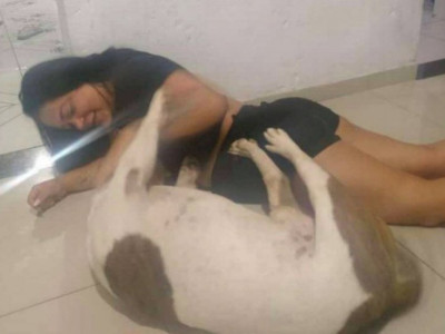 Homem mata cachorro com 21 facadas