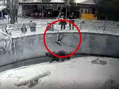 Mãe joga filha para urso comer e acaba presa