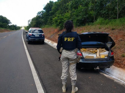 Quase 800 quilos de maconha são aprendidos em cidade de MS