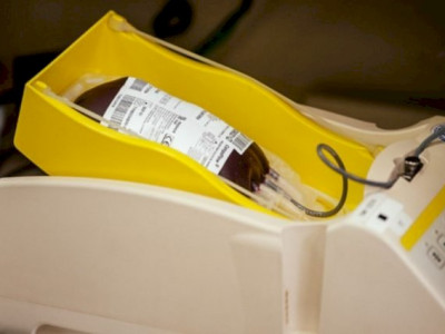 Estoques de sangue tipo O- e O+ seguem em situação crítica no Hemosul