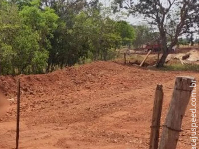 Homem morre ao salvar irmão de ataque de abelhas em Costa Rica 