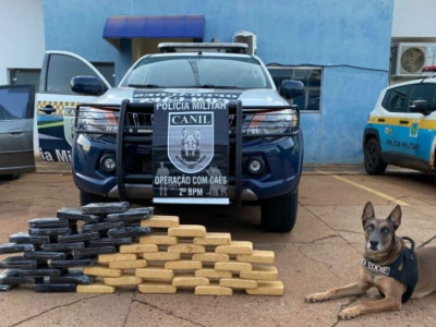 Indivíduos são presos com drogas na BR-158