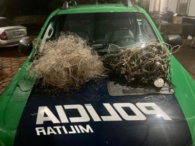 PMA apreende petrechos ilegais de pesca no Rio Dourados 