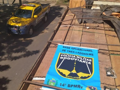 Polícia apreende carga ilegal de madeira na rodovia MS-395