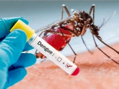Saúde confirma 263 casos de dengue em Mato Grosso do Sul