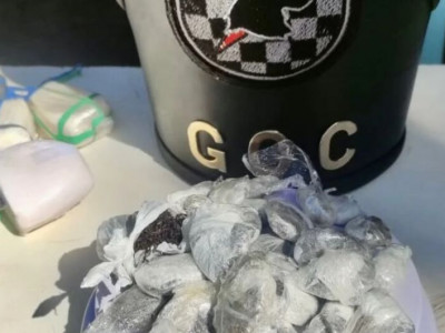 Cão farejador encontra droga em colchão na UNEI