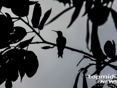 Primeiro dia de abril será frio, com baixas temperaturas em MS