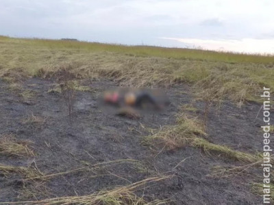 Agiota pode ter sido atraído por devedor e morto em MS