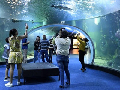 Bioparque Pantanal abre cadastro de visitas para o mês de junho 
