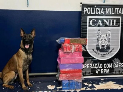 Equipe do Canil apreende 40 quilos de maconha em rodovia