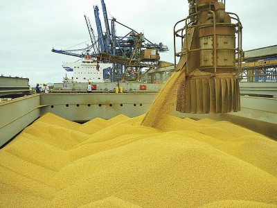 Exportações de soja devem atingir US$ 58 bilhões em 2022
