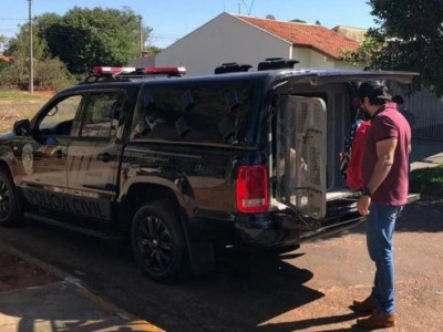 Homem e adolescente são detidos por roubo e receptação