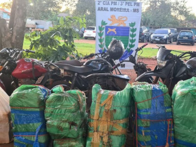 Polícia apreende quase 300 kg de droga em plantação de milho 