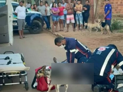 Homem é morto a tiros por 