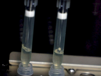 Laboratório da Fiocruz será referência em varíola dos macacos