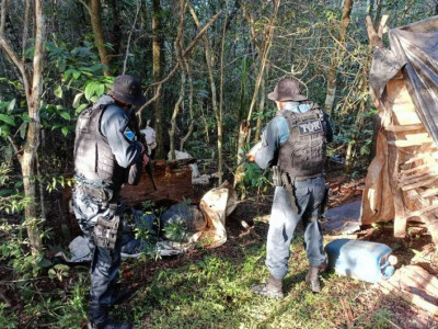 Maconha avaliada em quase R$ 280 mil é apreendida em 