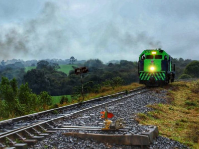 MS e Paraná divulgam hoje edital de leilão da Nova Ferroeste
