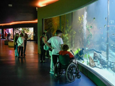 Bioparque Pantanal amplia número de vagas para visitantes
