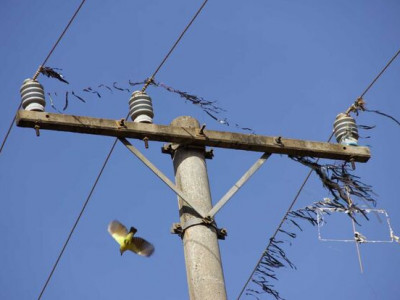 Energisa faz alerta após linha de pipa cortar fios e ferir mulheres no Tijuca