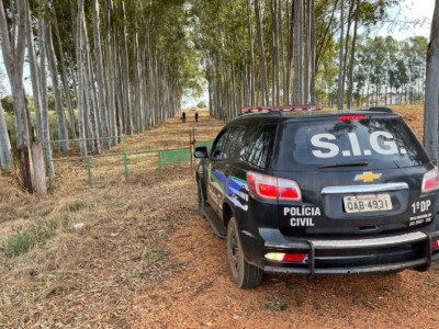 Polícia Civil faz busca por ladrão, após roubo e esfaqueamento 