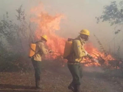 Governo Federal libera R$ 6,4 milhões para combate a incêndios florestais em MS