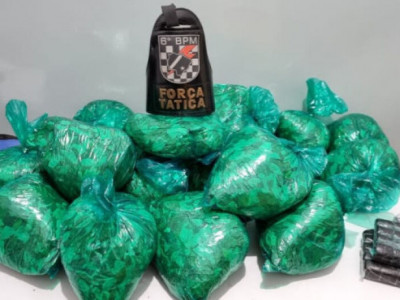 Boliviano é preso em MS levando 9kg de folha de coca