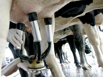 Economista do Sindicato Rural atesta que preço do leite não subirá em MS