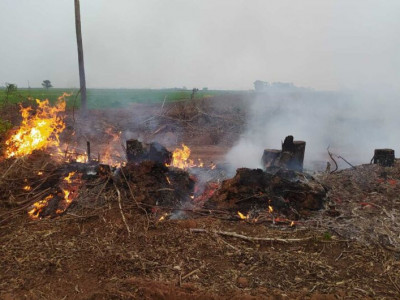 Homem é autuado por provocar incêndio em restos de vegetação