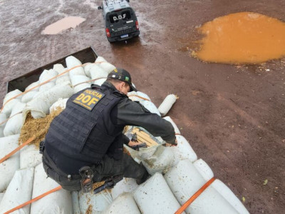 Polícia encontra 3t de maconha em meio a carga de feno