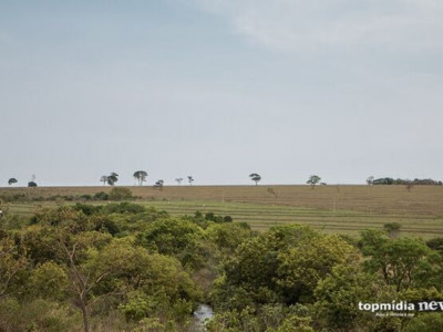 Polícia investiga assassinato de peão no Pantanal de Corumbá