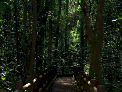 Presidente sanciona redução da Floresta Nacional de Brasília