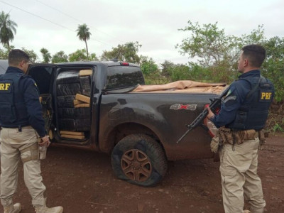 PRF apreende 1,5 tonelada de maconha em Guia Lopes da Laguna